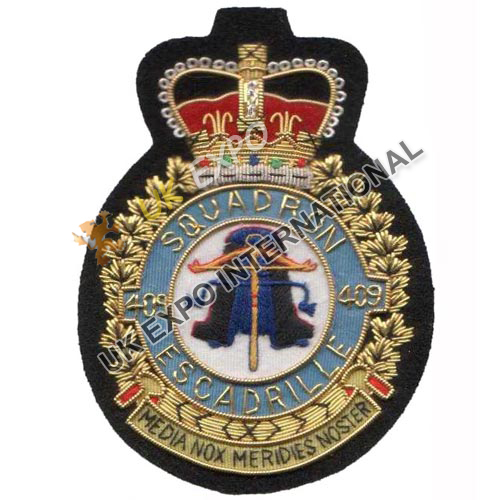  Squadron Badges