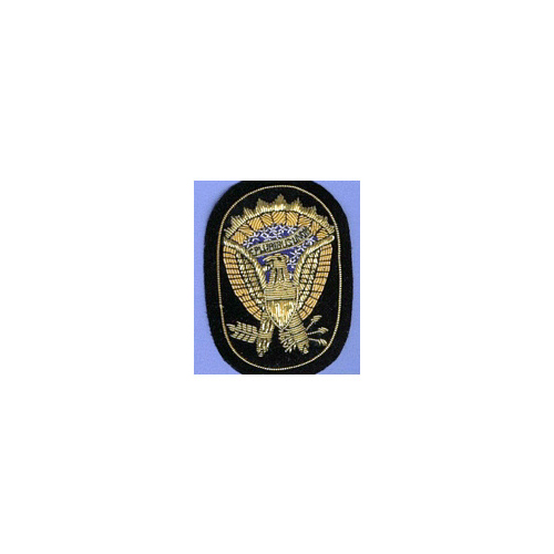 OFFICERS ARMY EAGLE HAT INSIGNIA
