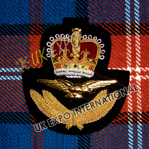Metal Eagle Cap Badge