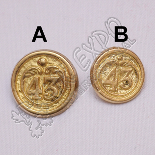 43 Regiment foot Pweter Button 18mm and 22mm