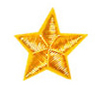 Collar Stars for Field Officers