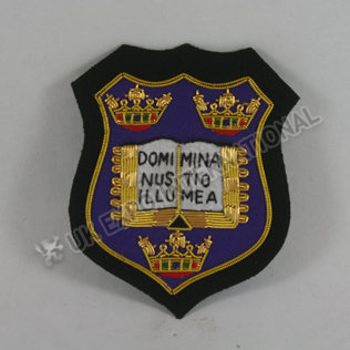 Domi Mina Nus Tio Illu Mea Gold bullion badge